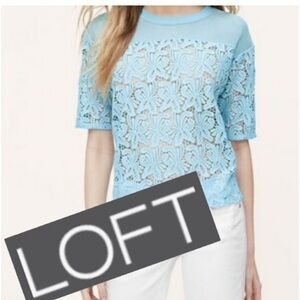 Loft mesh top eyelet embroidered‎ top. Worn a few times. 79 retail